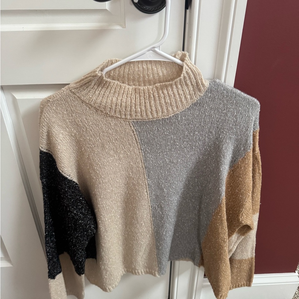 Blu Pepper Multicolor Turtleneck Sweater